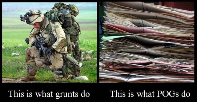 grunts v pogs