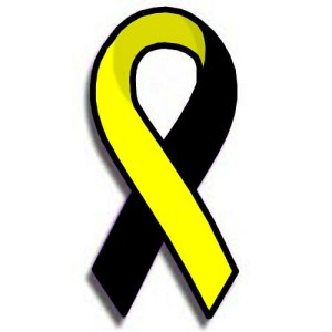 The PTS awareness ribbon.